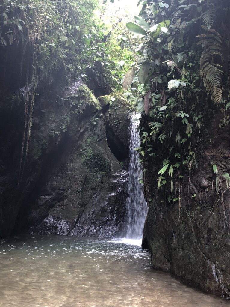 Das Bild zeigt einen Wasserfall, der zwischen mit Pflanzen bewachsenen Felsen fließt.